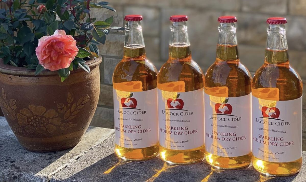 laycock cider bottles in a garden with a rose plant in a pot