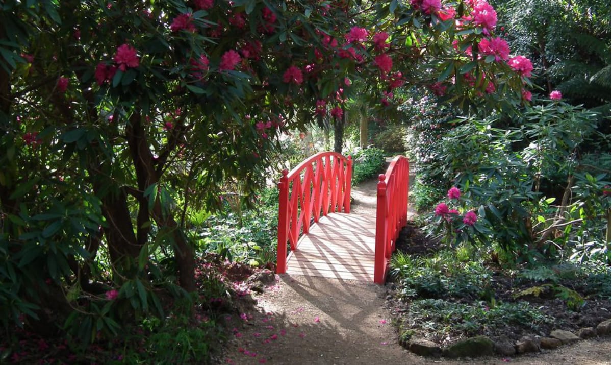 a red bridge going through a garden