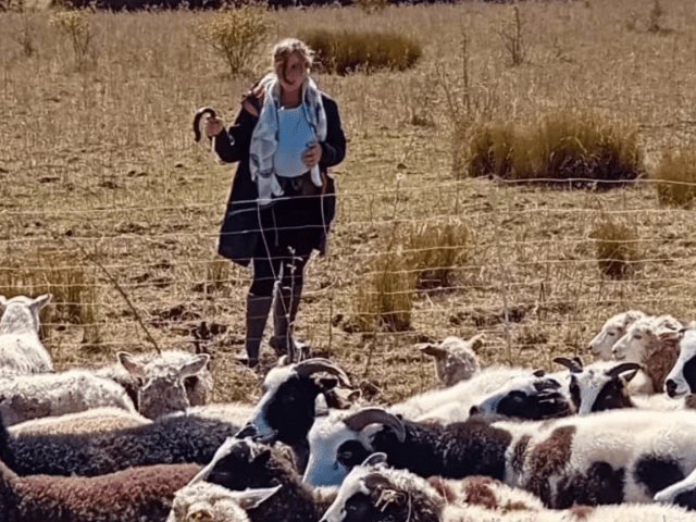 Leila from Tamarisk Farm Shepherding