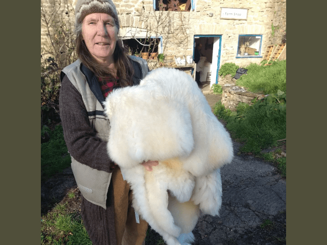 Farmer Ellen from Tamarisk Farm holding a sheepskin