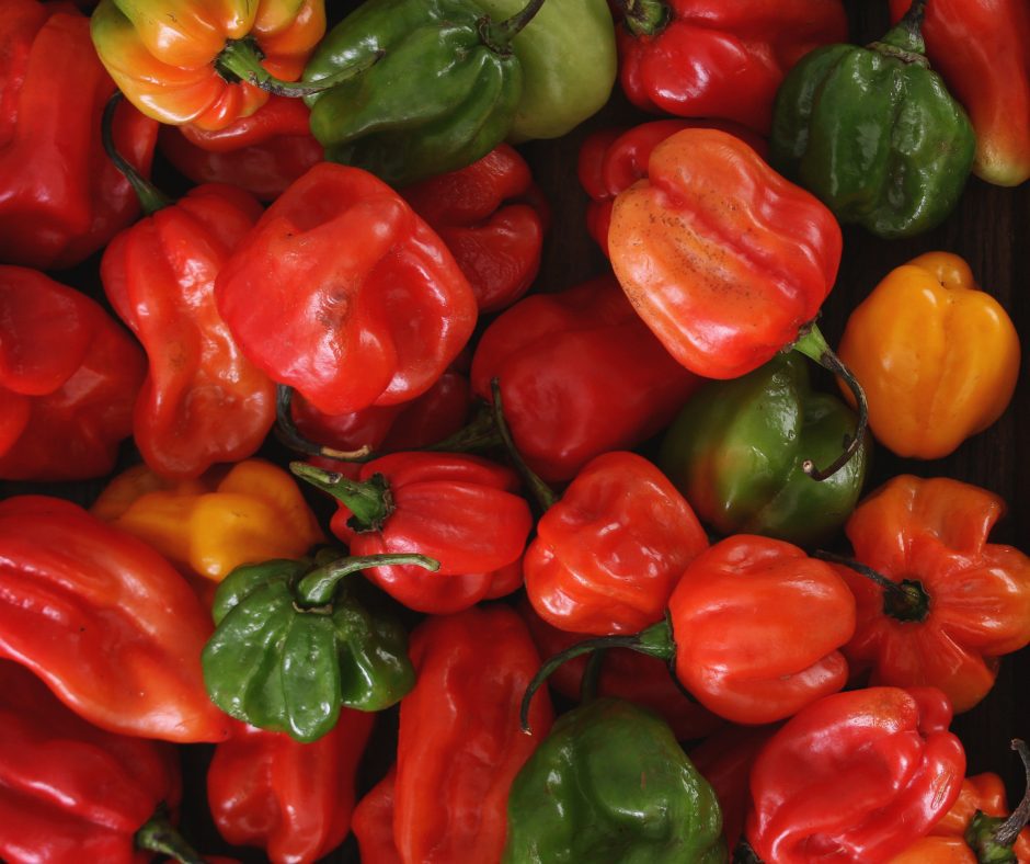 Close-up of a pile of assorted chilli peppers in various shapes and sizes, in bright red, orange, yellow, and green, with glossy skins and stems visible