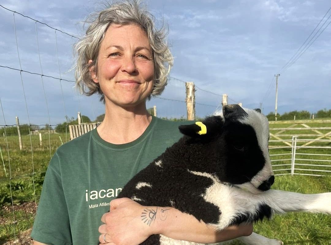 Woman standing in a sunny farm field holding a black and white lamb, with fencing and green pasture in the background.