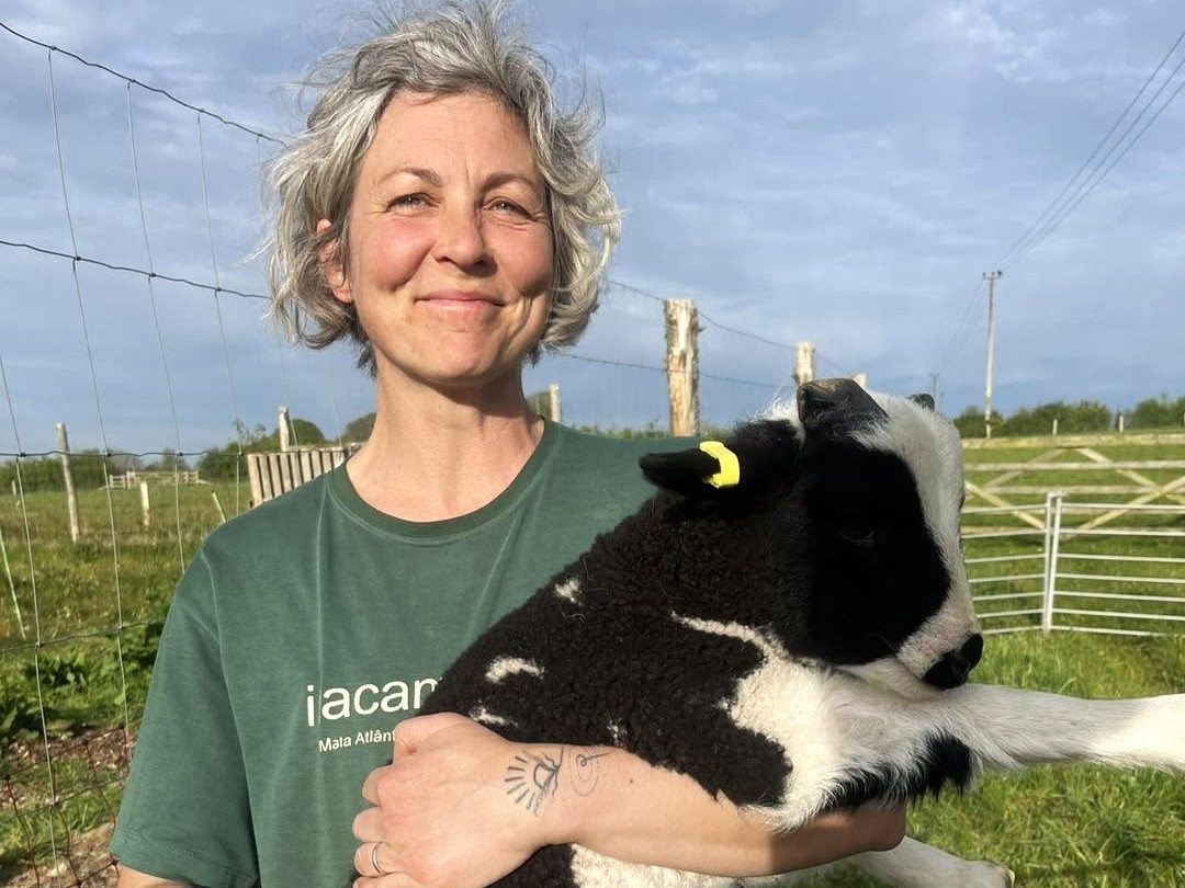 Woman standing in a sunny farm field holding a black and white lamb, with fencing and green pasture in the background.