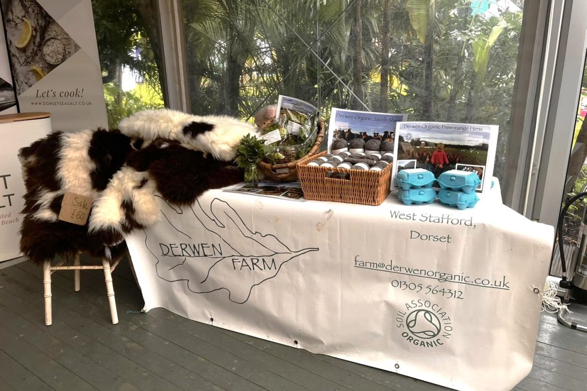Farm display table set up indoors with a “Derwen Farm” tablecloth, baskets of fresh vegetables, cartons of eggs, printed farm information, and sheepskins draped over a chair, with leafy greenery visible through windows behind.