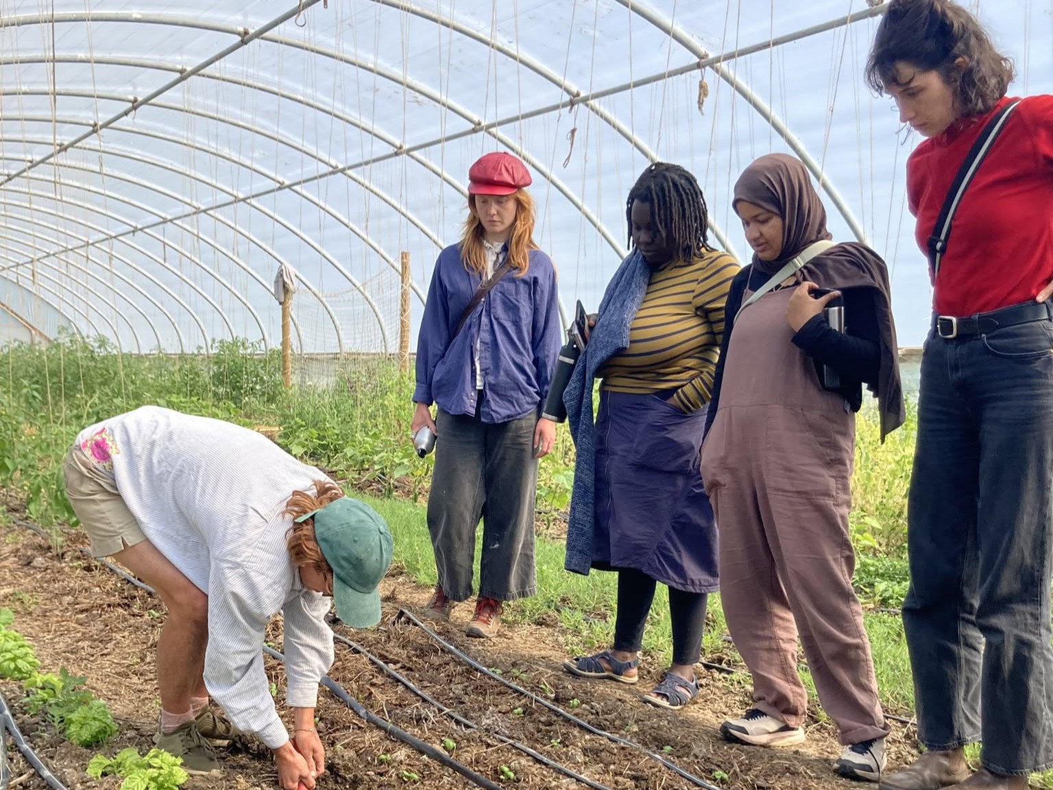 Hands-on vegetable growing workshop taking place in a Dorset polytunnel with young seasonal crops.